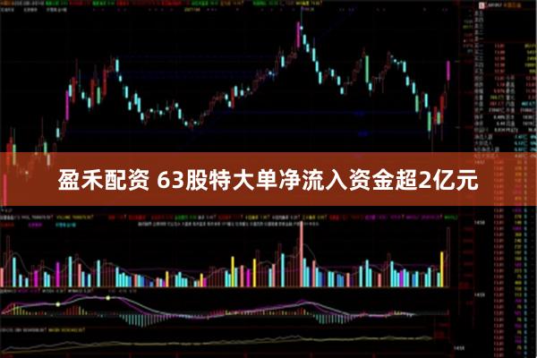 盈禾配资 63股特大单净流入资金超2亿元