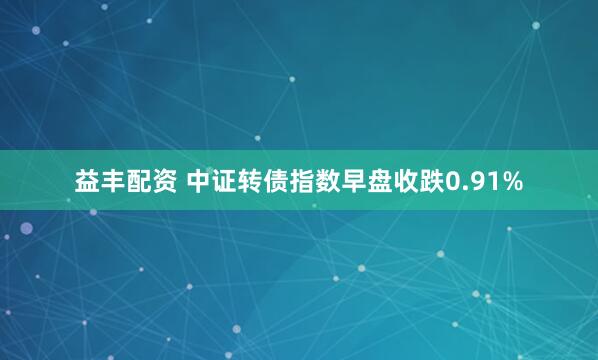 益丰配资 中证转债指数早盘收跌0.91%