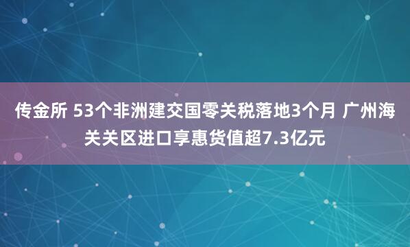 传金所 53个非洲建交国零关税落地3个月 广州海关关区进口享惠货值超7.3亿元